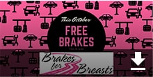 Brakes For Breasts